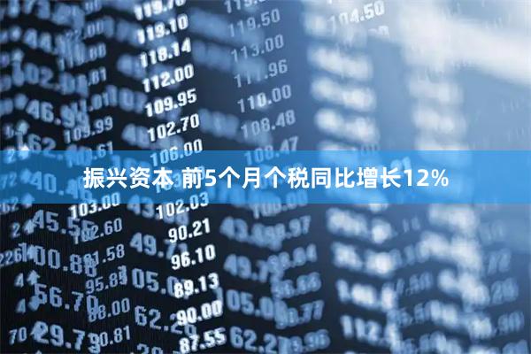 振兴资本 前5个月个税同比增长12%