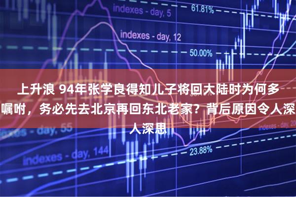 上升浪 94年张学良得知儿子将回大陆时为何多次嘱咐，务必先去北京再回东北老家？背后原因令人深思