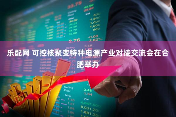 乐配网 可控核聚变特种电源产业对接交流会在合肥举办
